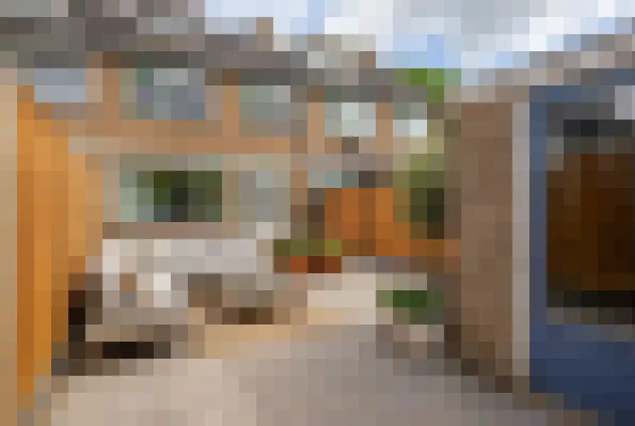 Dennekruid 100 Rotterdam thumbnail 32
