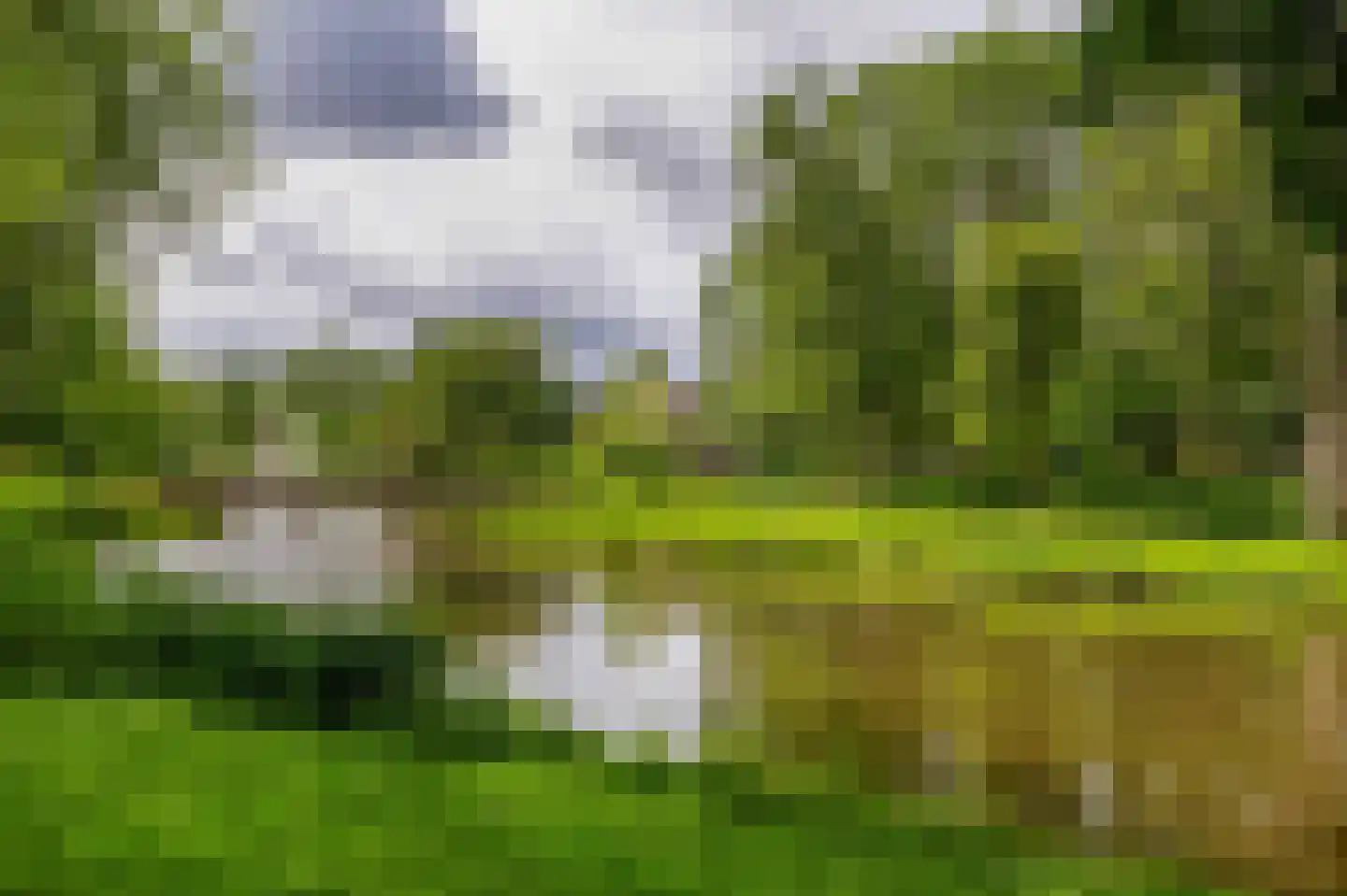 Dennekruid 100 Rotterdam thumbnail 40