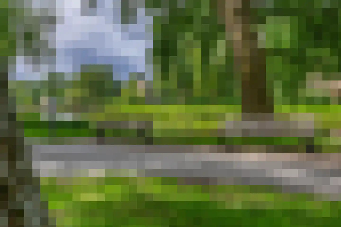 Dennekruid 100 Rotterdam thumbnail 41