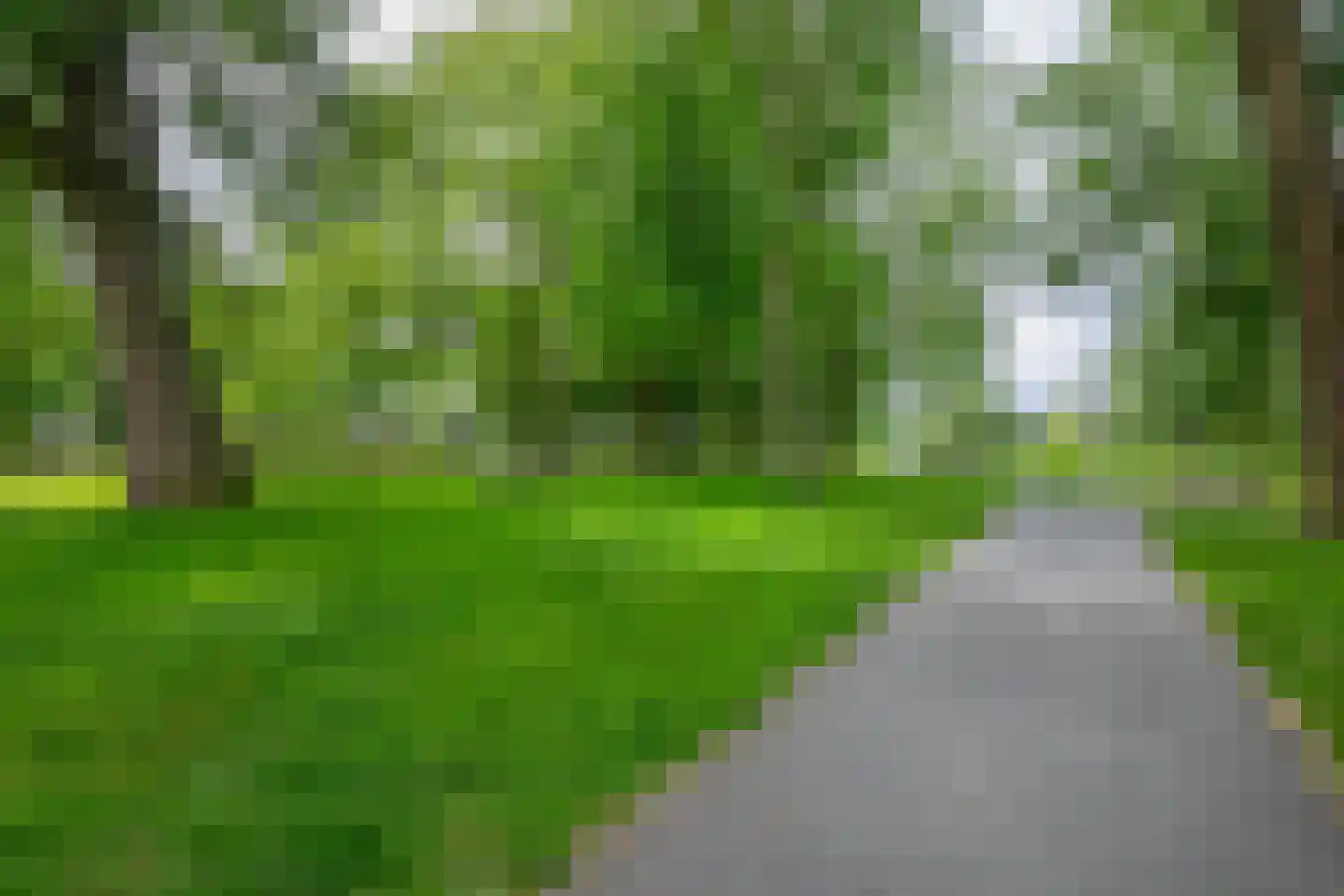 Dennekruid 100 Rotterdam thumbnail 43