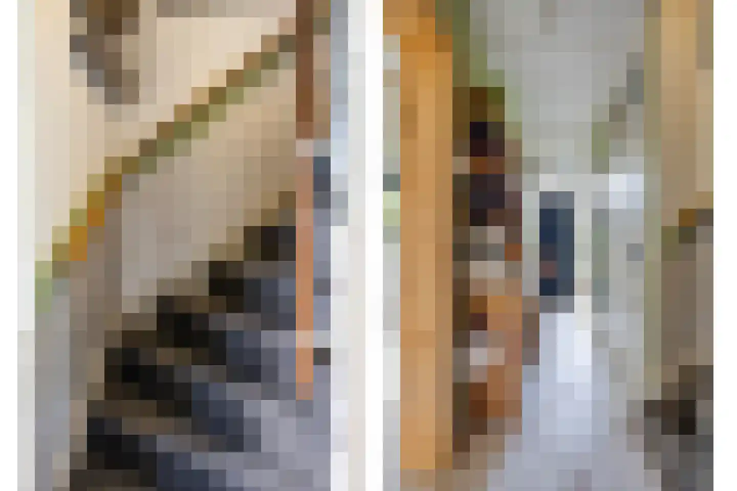 Dennekruid 188 Rotterdam thumbnail 12