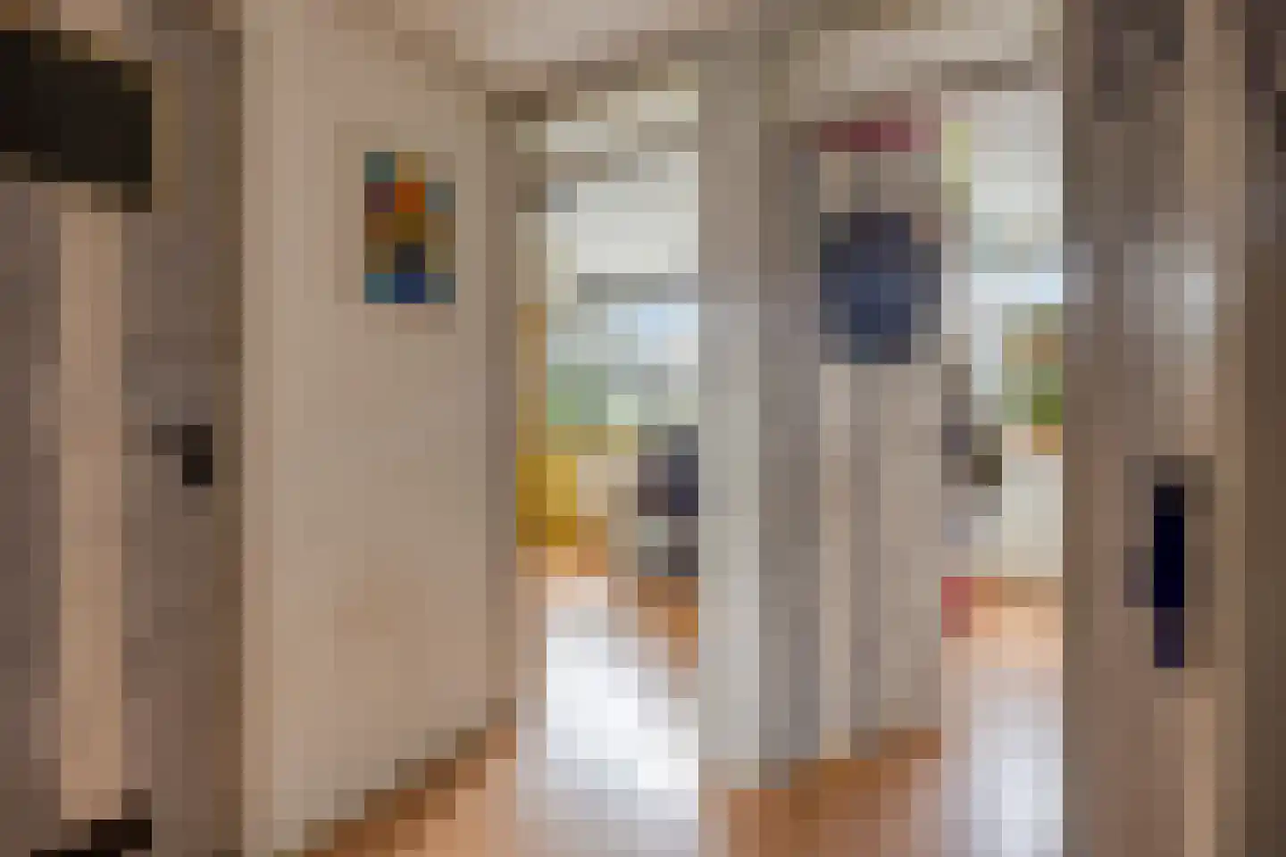 Dennekruid 188 Rotterdam thumbnail 17