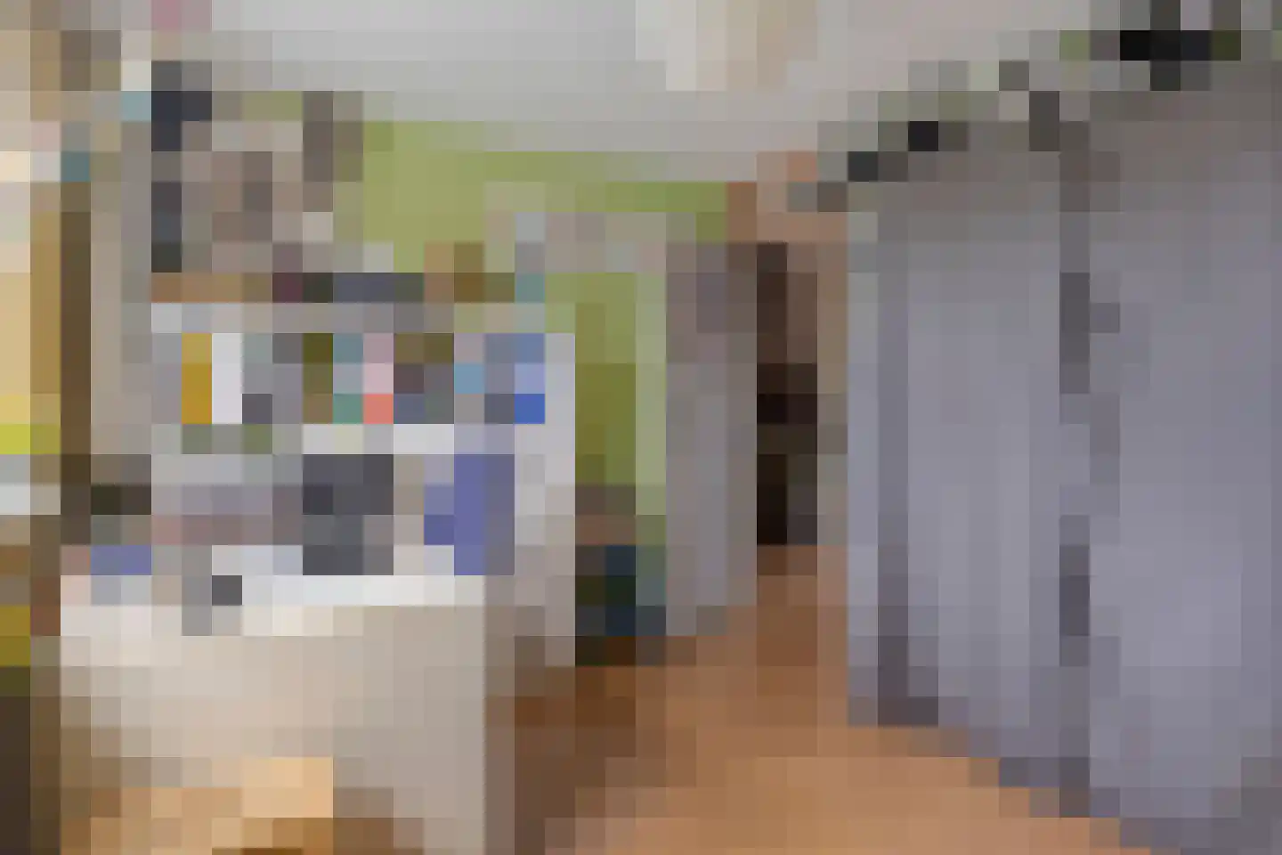Dennekruid 188 Rotterdam thumbnail 21