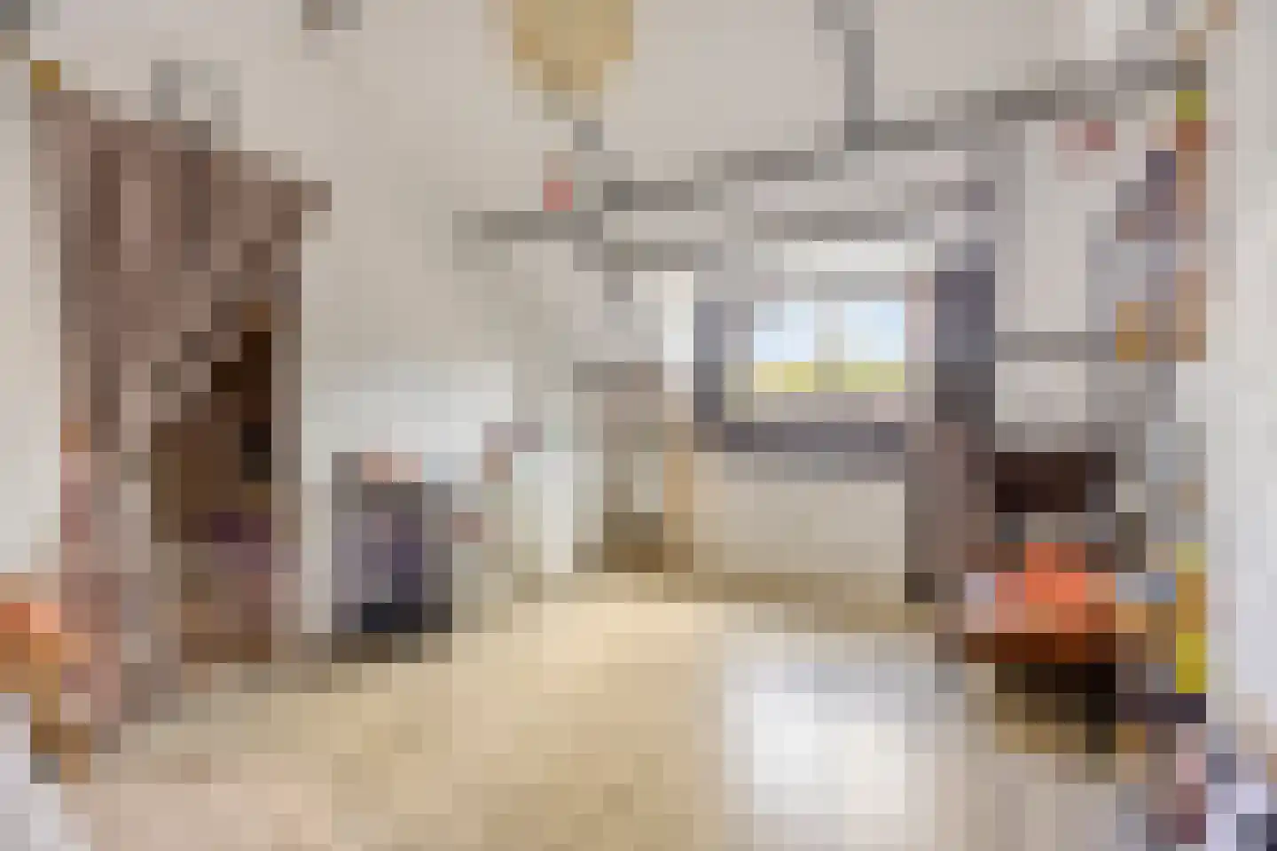 Dennekruid 188 Rotterdam thumbnail 27