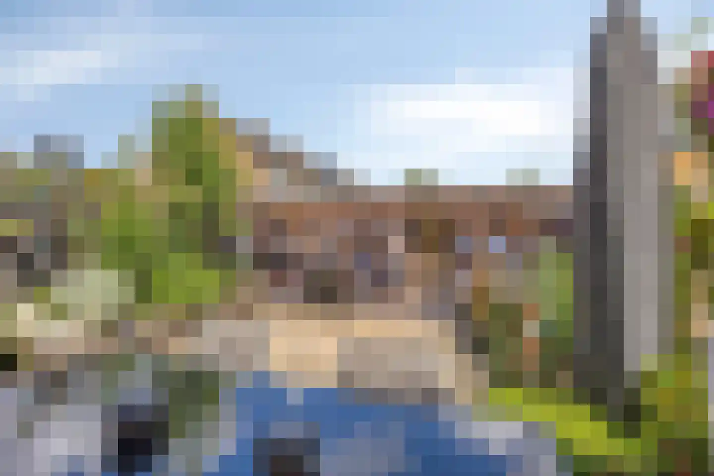 Dennekruid 188 Rotterdam thumbnail 31