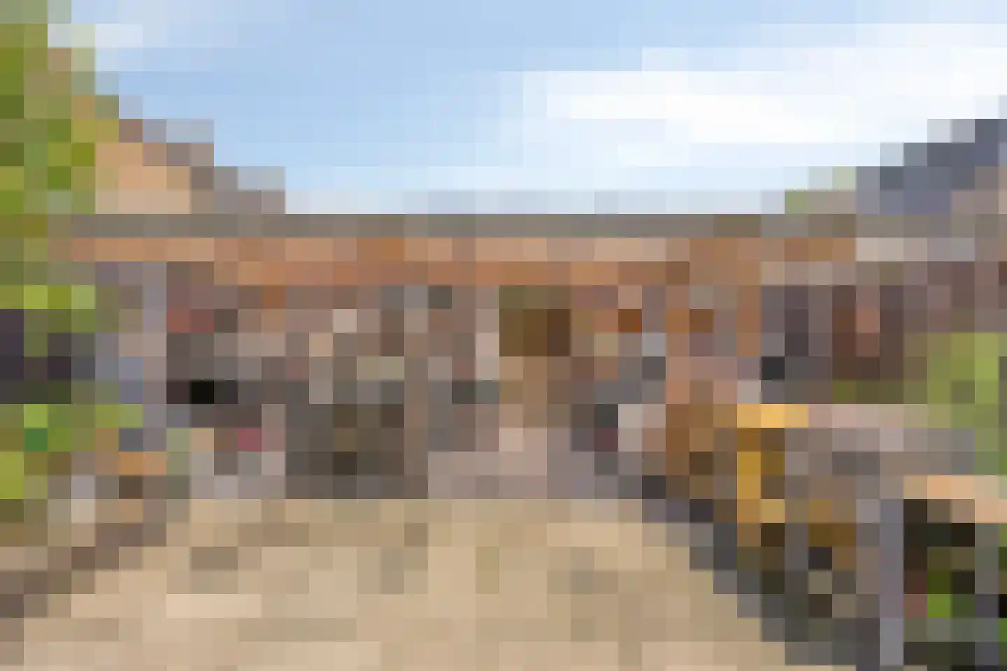 Dennekruid 188 Rotterdam thumbnail 32