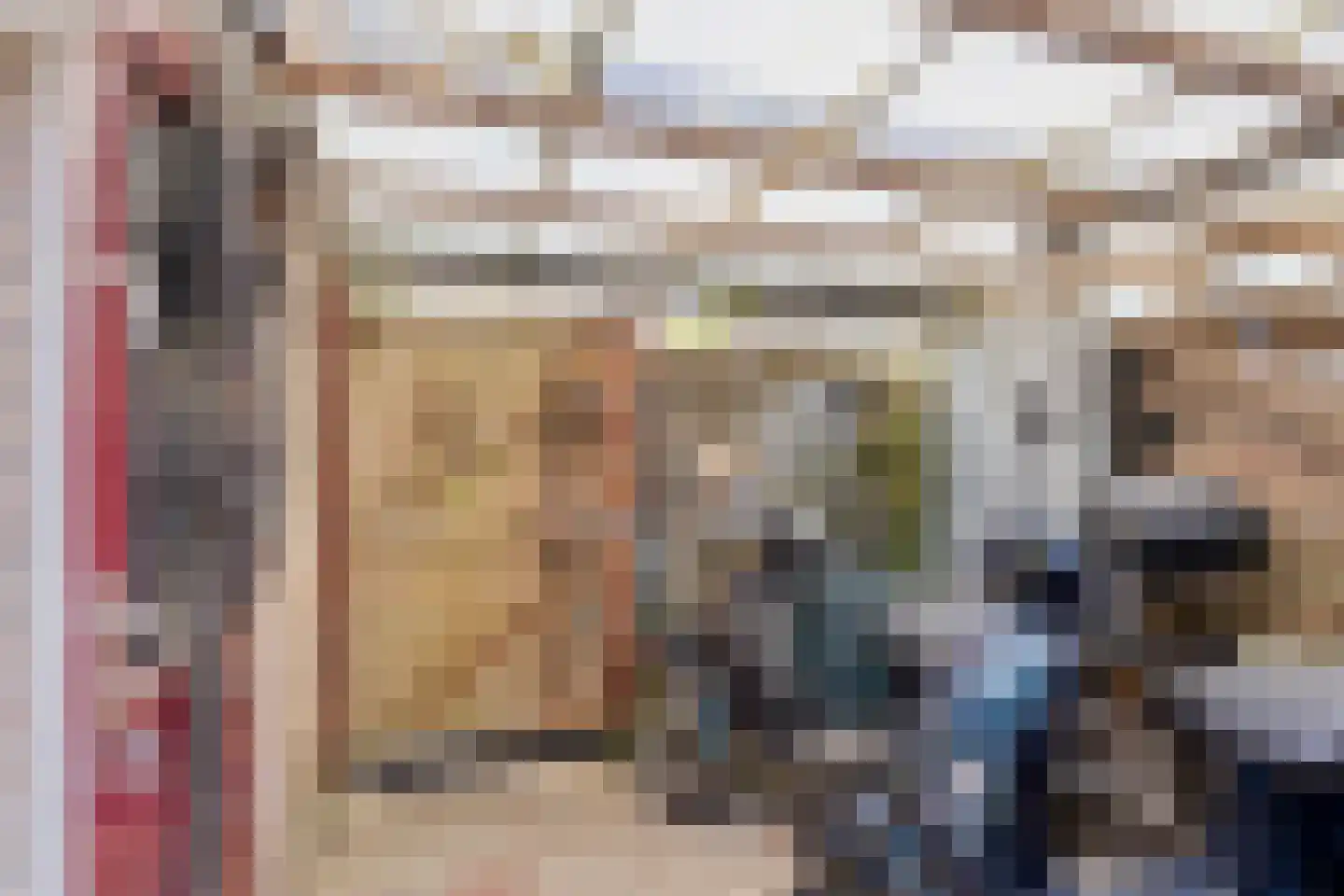 Dennekruid 188 Rotterdam thumbnail 33
