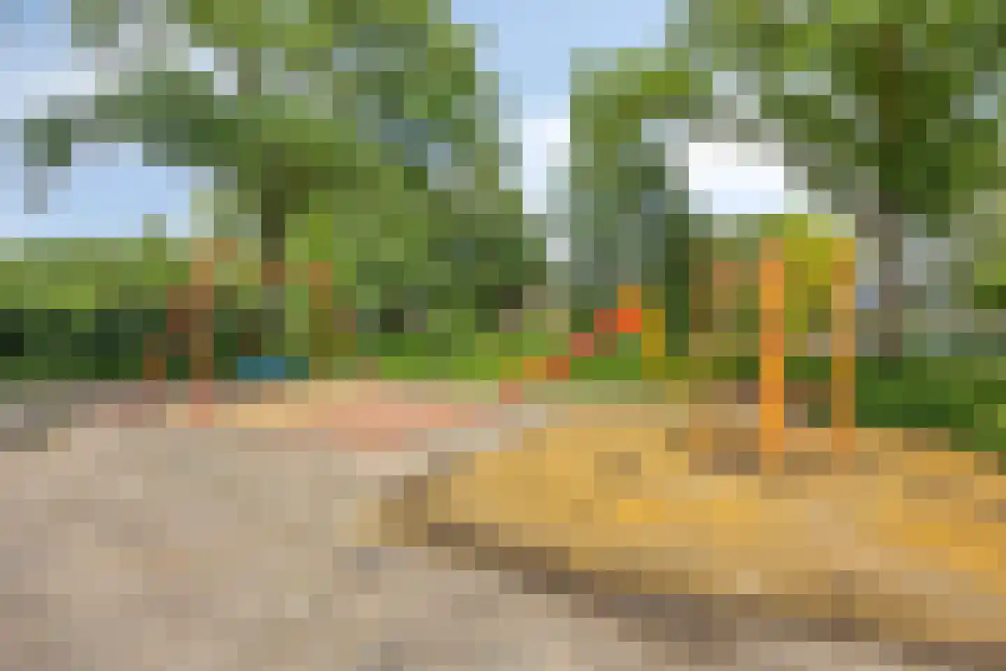 Dennekruid 188 Rotterdam thumbnail 35