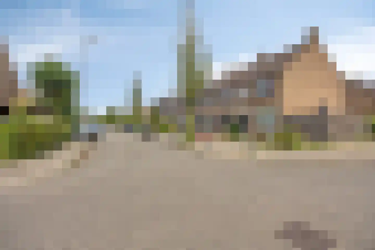 Dennekruid 188 Rotterdam thumbnail 37