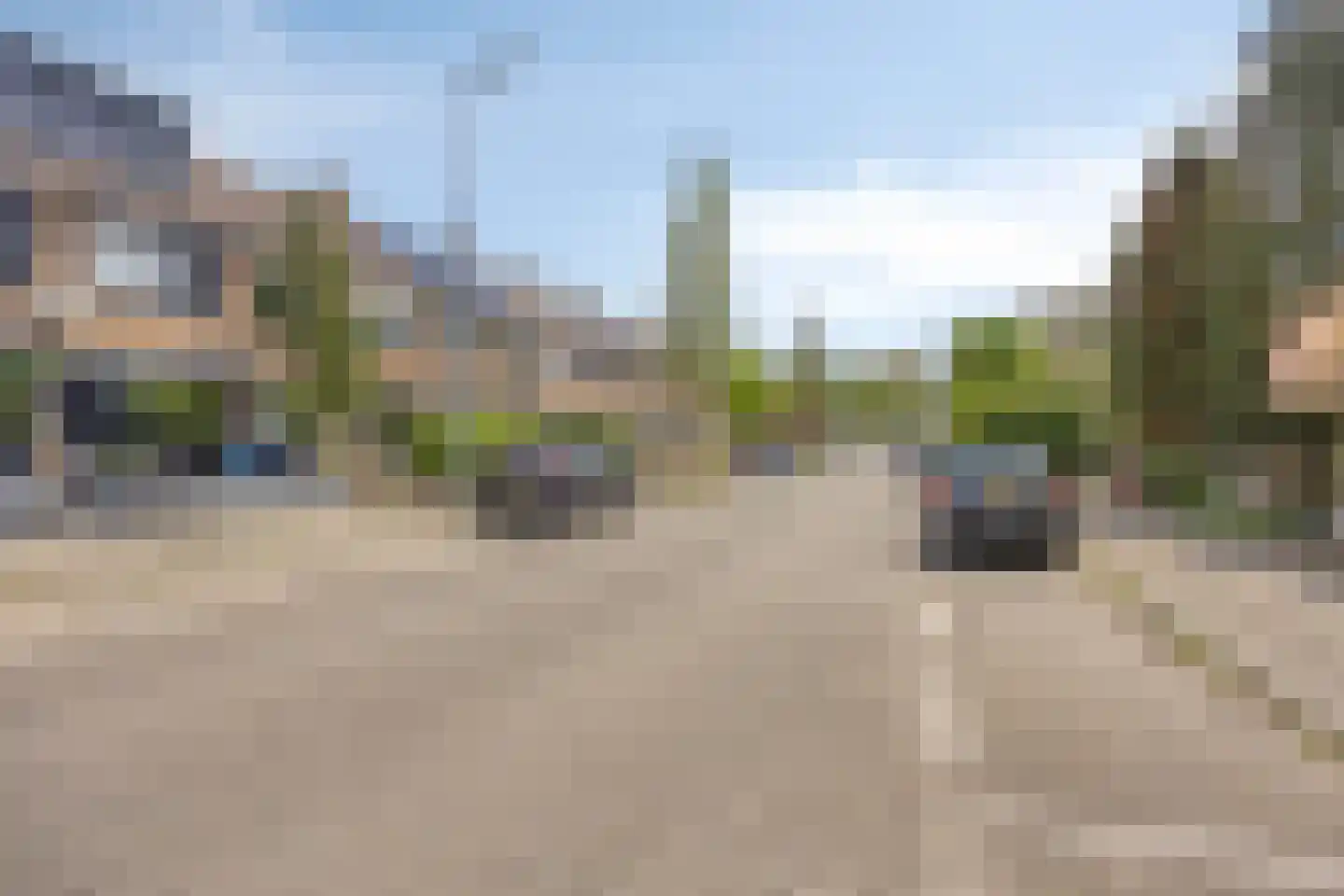 Dennekruid 188 Rotterdam thumbnail 38
