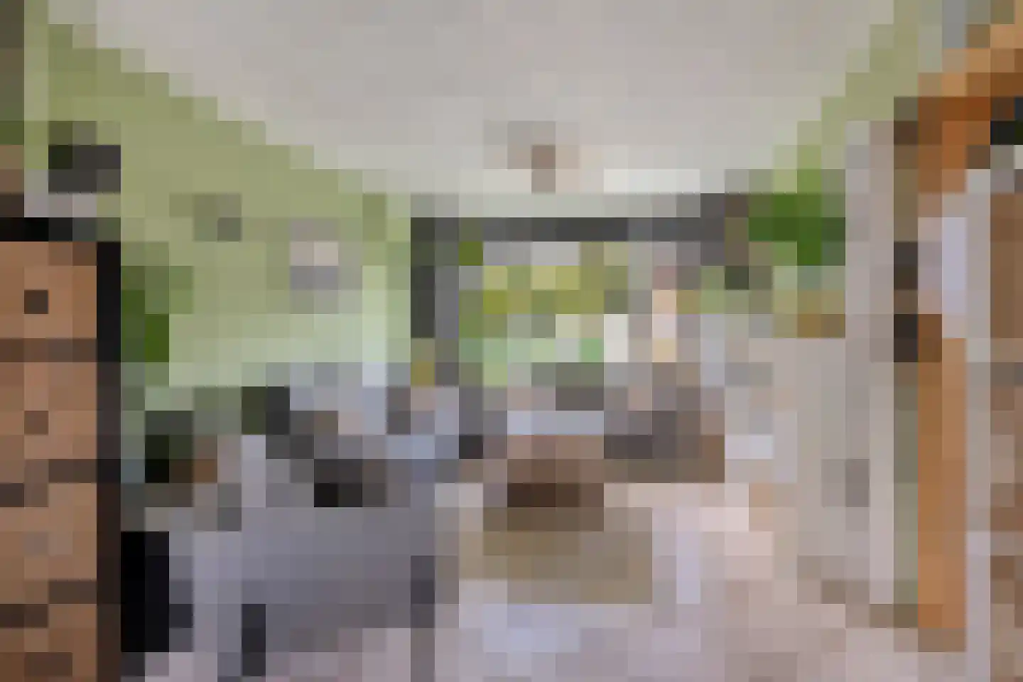 Dennekruid 188 Rotterdam thumbnail 4