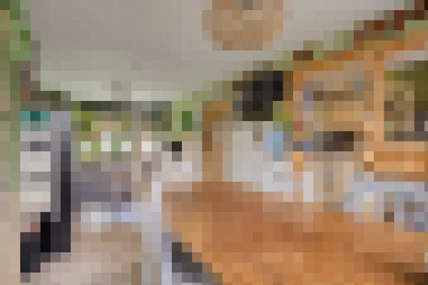 Dennekruid 188 Rotterdam thumbnail 5