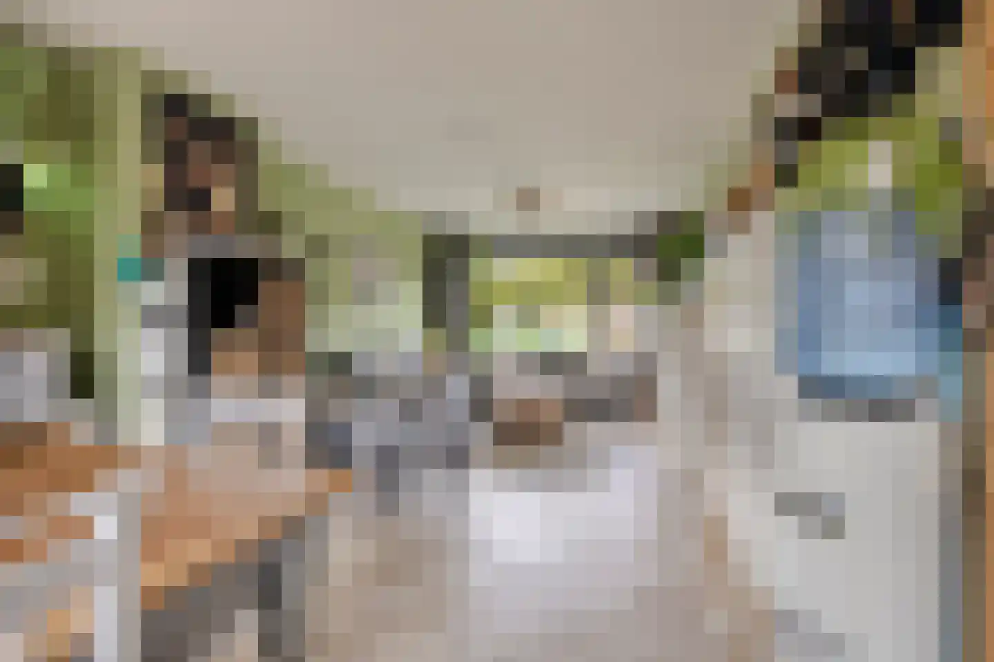 Dennekruid 188 Rotterdam thumbnail 7