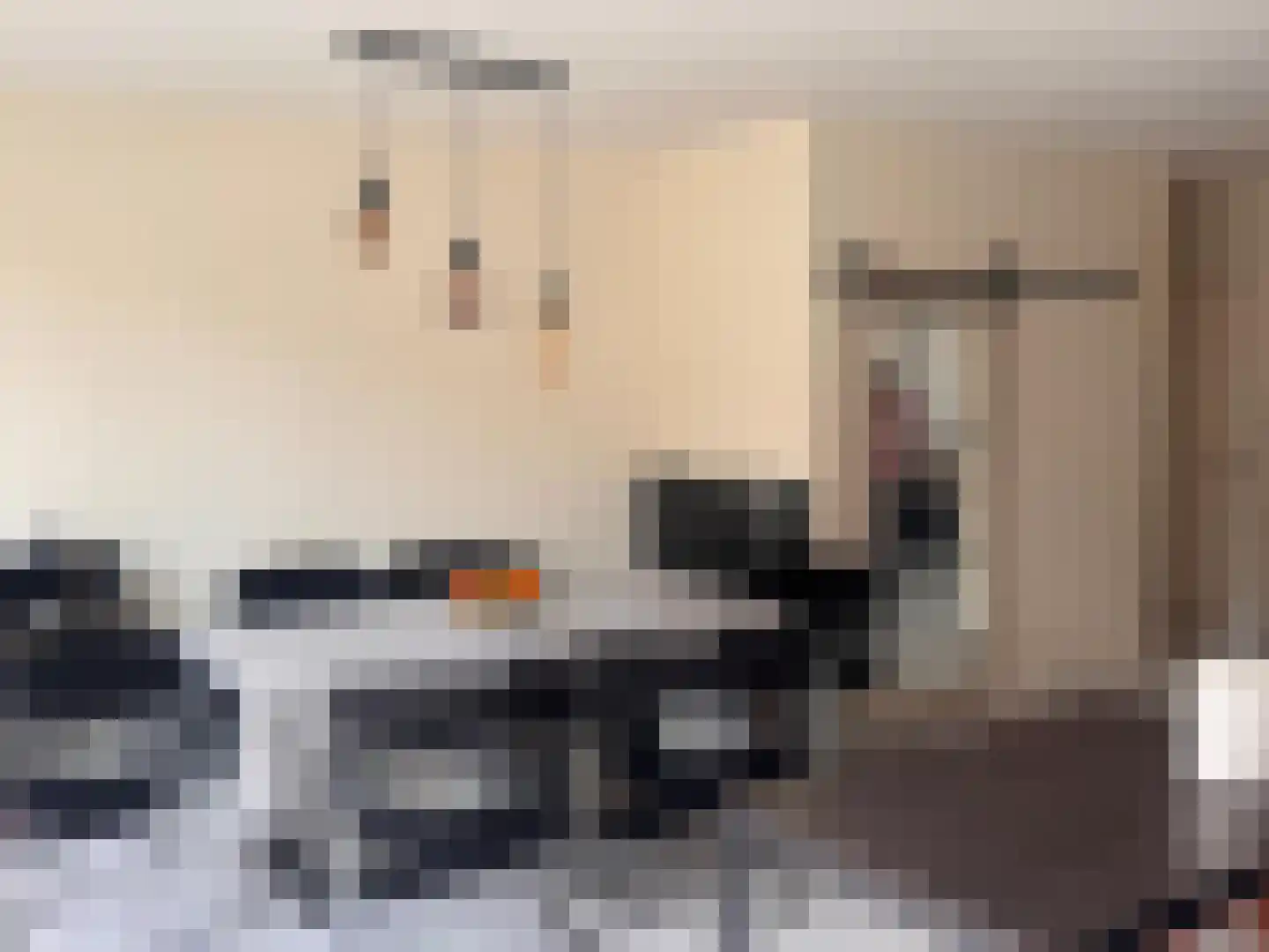 Dennekruid 210 Rotterdam thumbnail 12