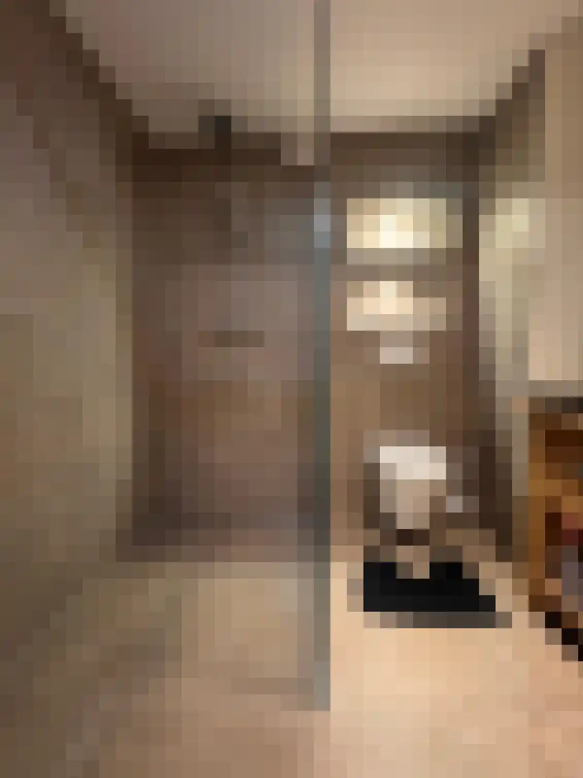 Dennekruid 210 Rotterdam thumbnail 19