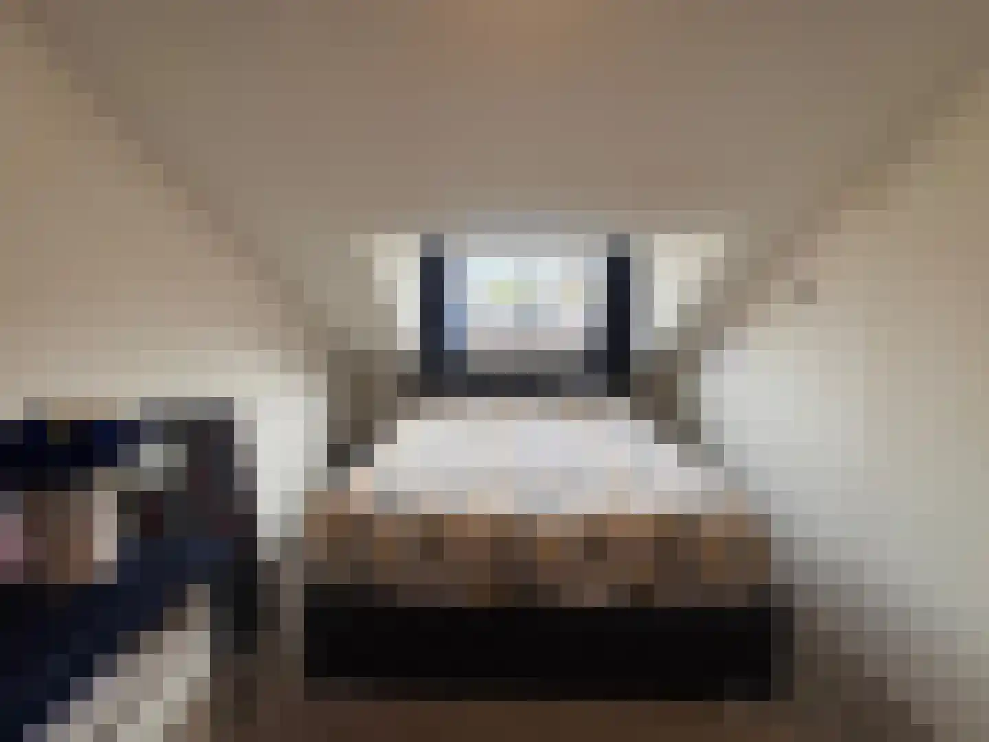 Dennekruid 210 Rotterdam thumbnail 29