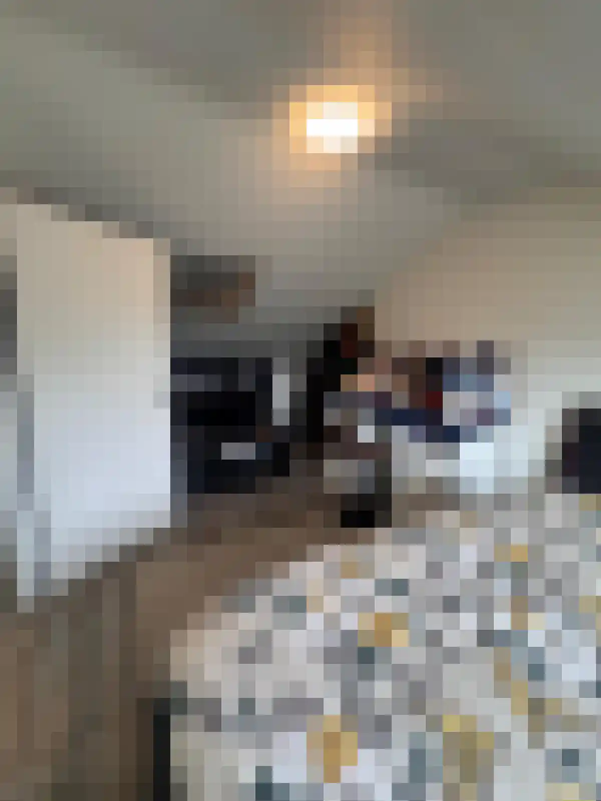 Dennekruid 210 Rotterdam thumbnail 30