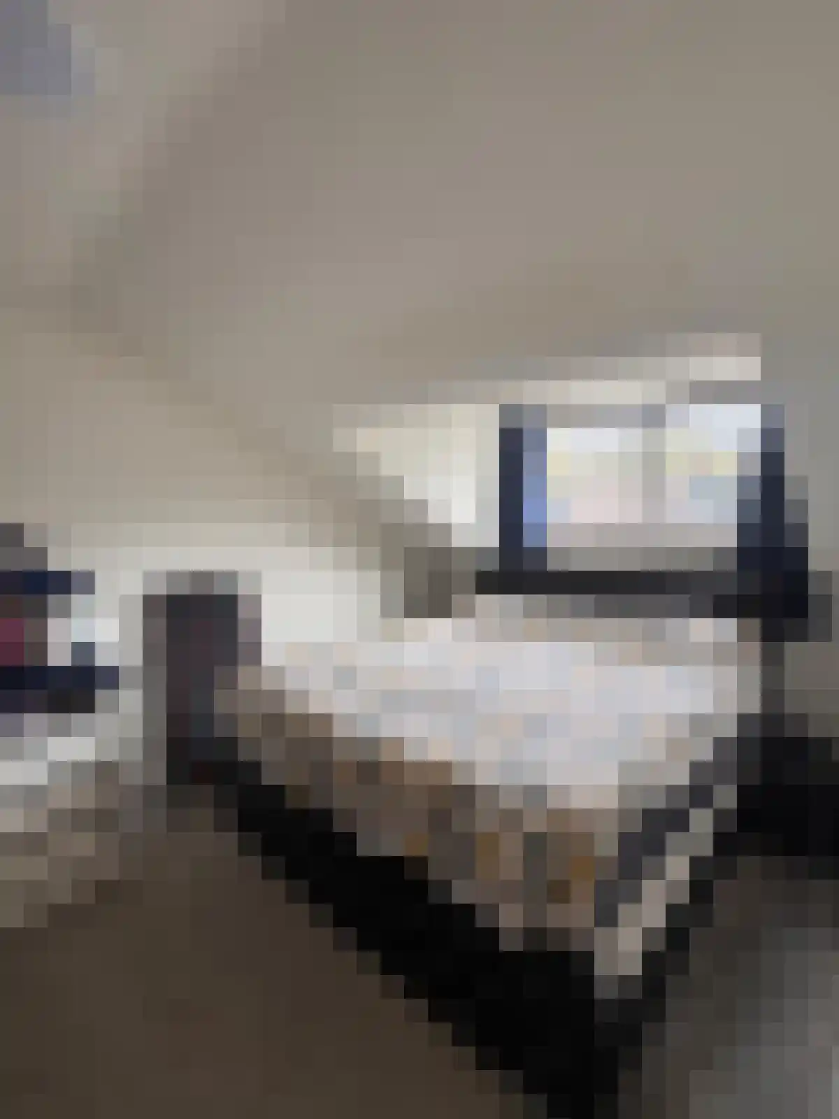 Dennekruid 210 Rotterdam thumbnail 31