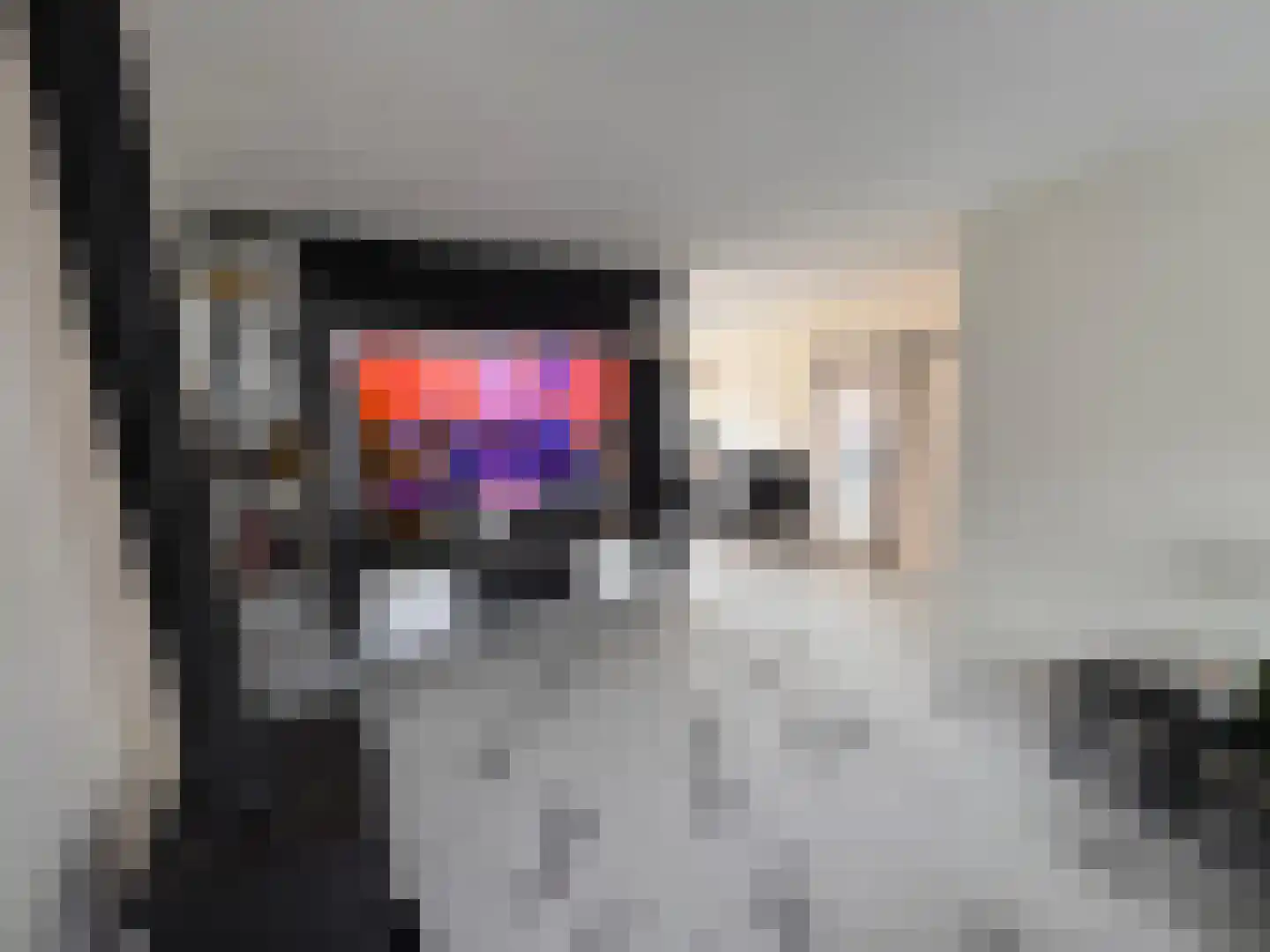 Dennekruid 210 Rotterdam thumbnail 6