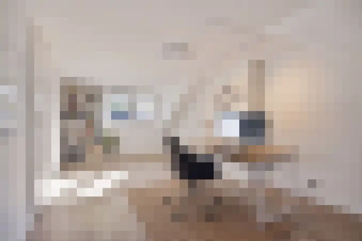 Dennekruid 212 Rotterdam thumbnail 29