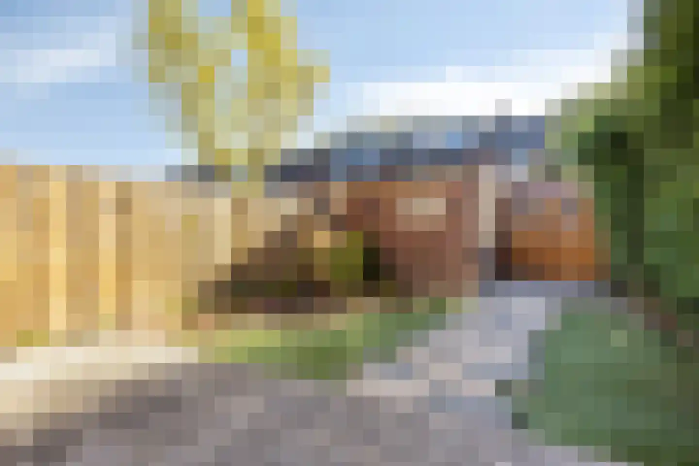 Dennekruid 212 Rotterdam thumbnail 32