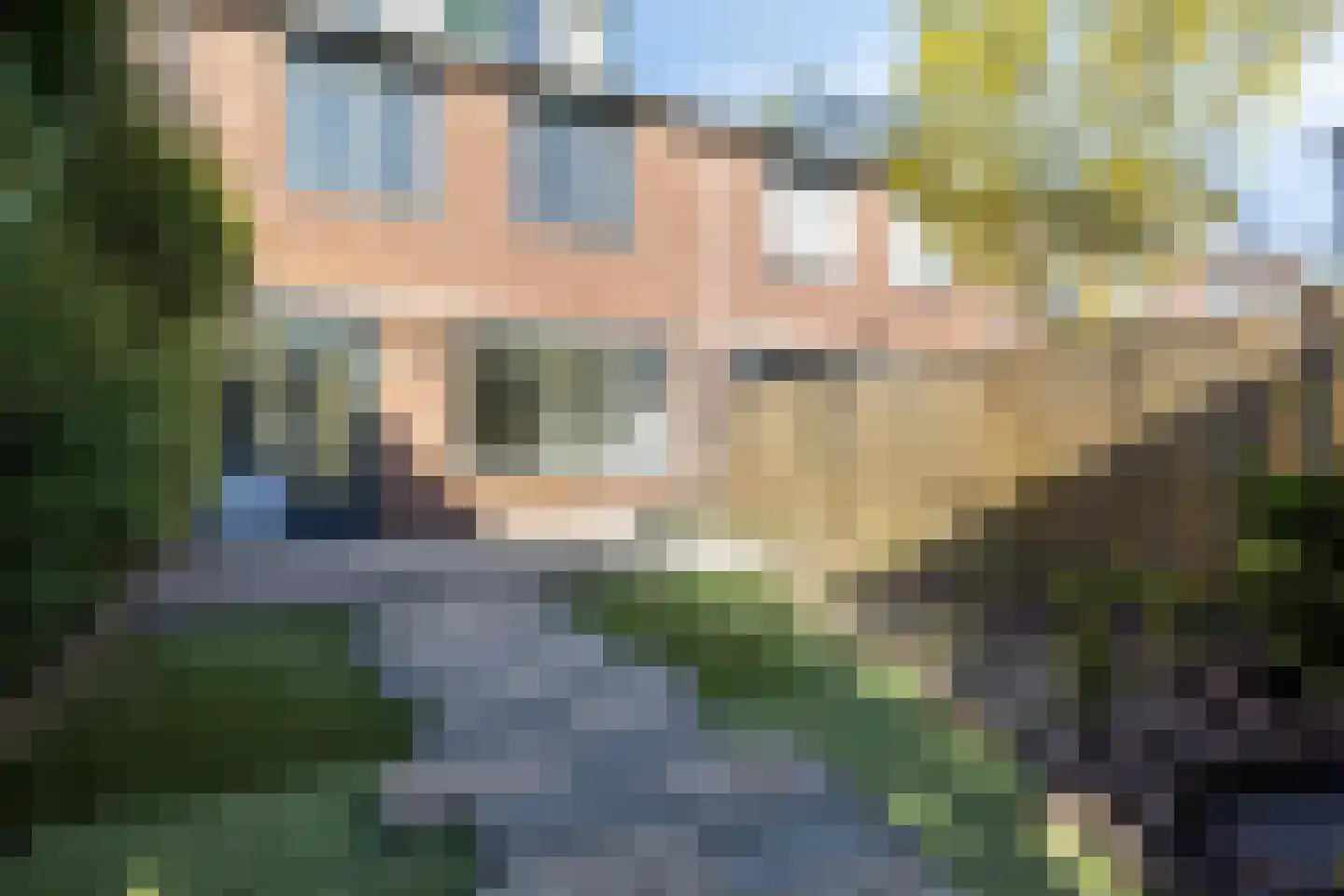 Dennekruid 212 Rotterdam thumbnail 33