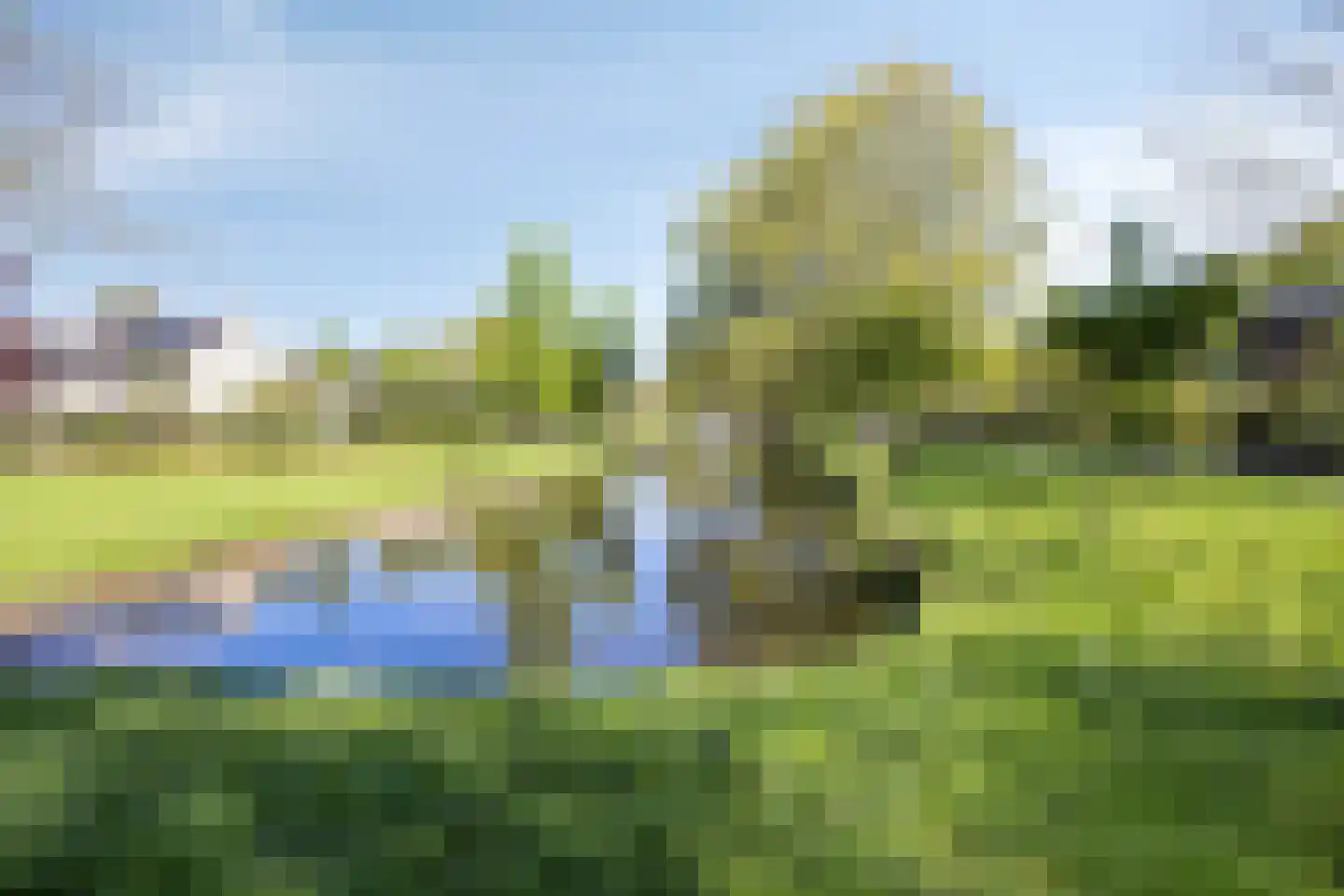 Dennekruid 212 Rotterdam thumbnail 36