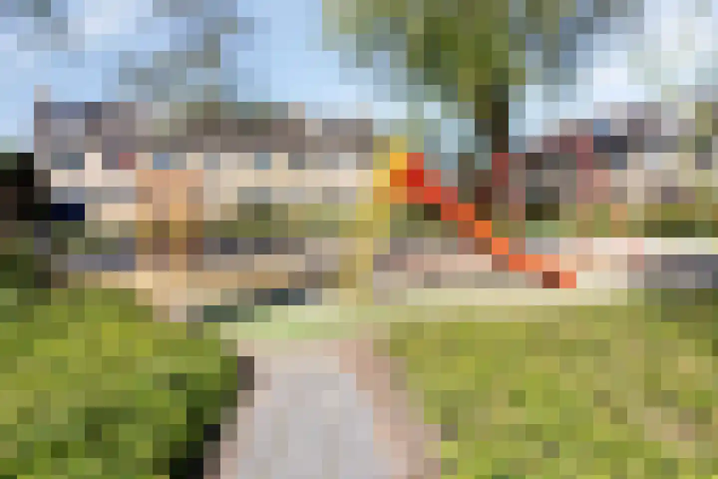 Dennekruid 212 Rotterdam thumbnail 37