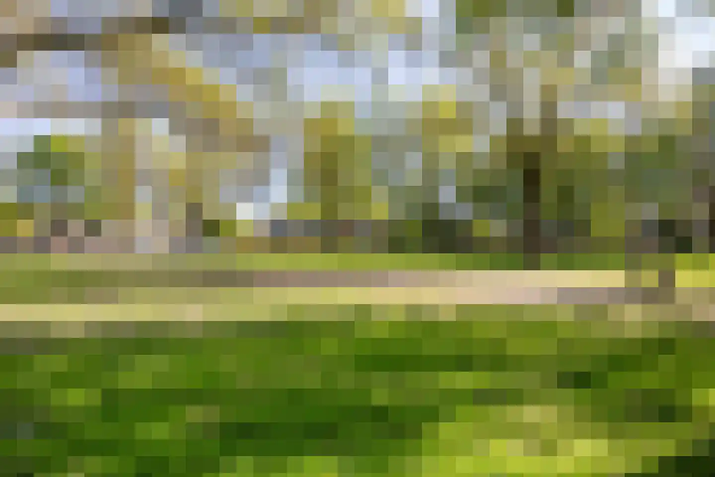 Dennekruid 212 Rotterdam thumbnail 38