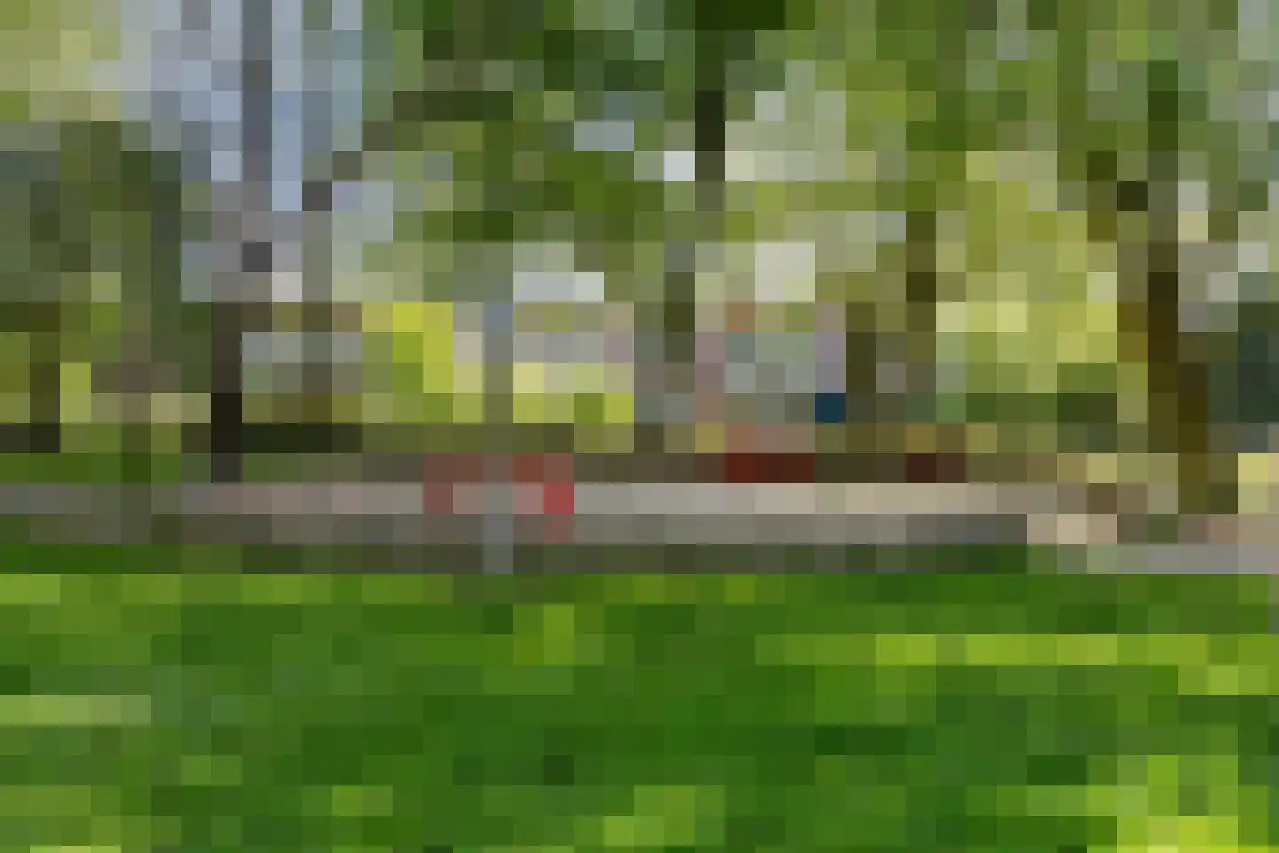 Dennekruid 212 Rotterdam thumbnail 39