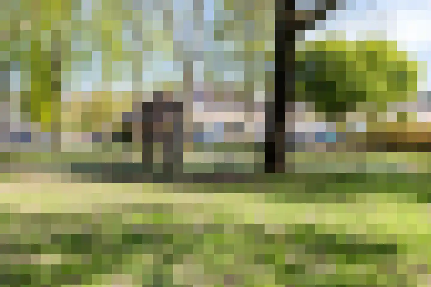 Dennekruid 212 Rotterdam thumbnail 40