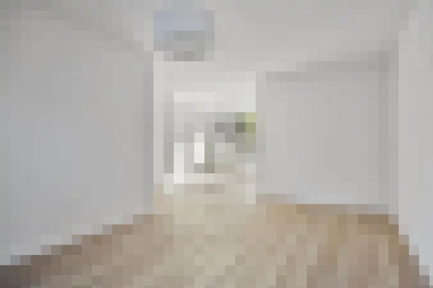 Dennekruid 212 Rotterdam thumbnail 5