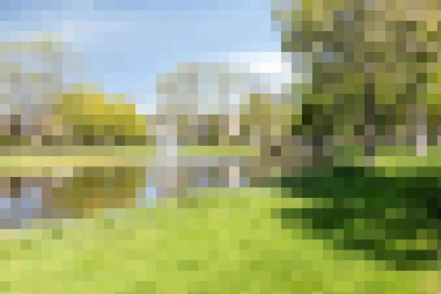 Dennekruid 212 Rotterdam thumbnail 6