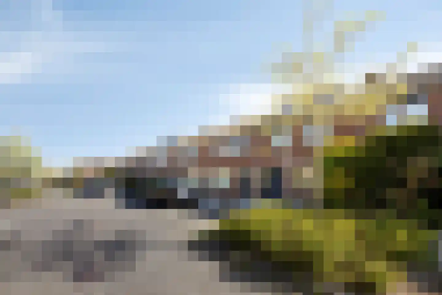 Dennekruid 212 Rotterdam thumbnail 7