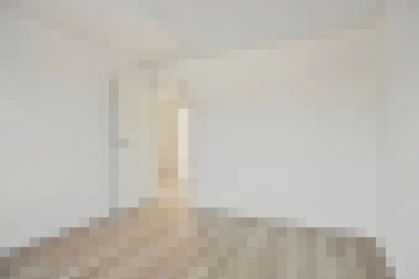 Dennekruid 212 Rotterdam thumbnail 9