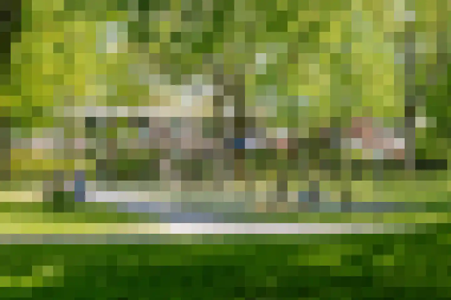 Dennekruid 46 Rotterdam thumbnail 31