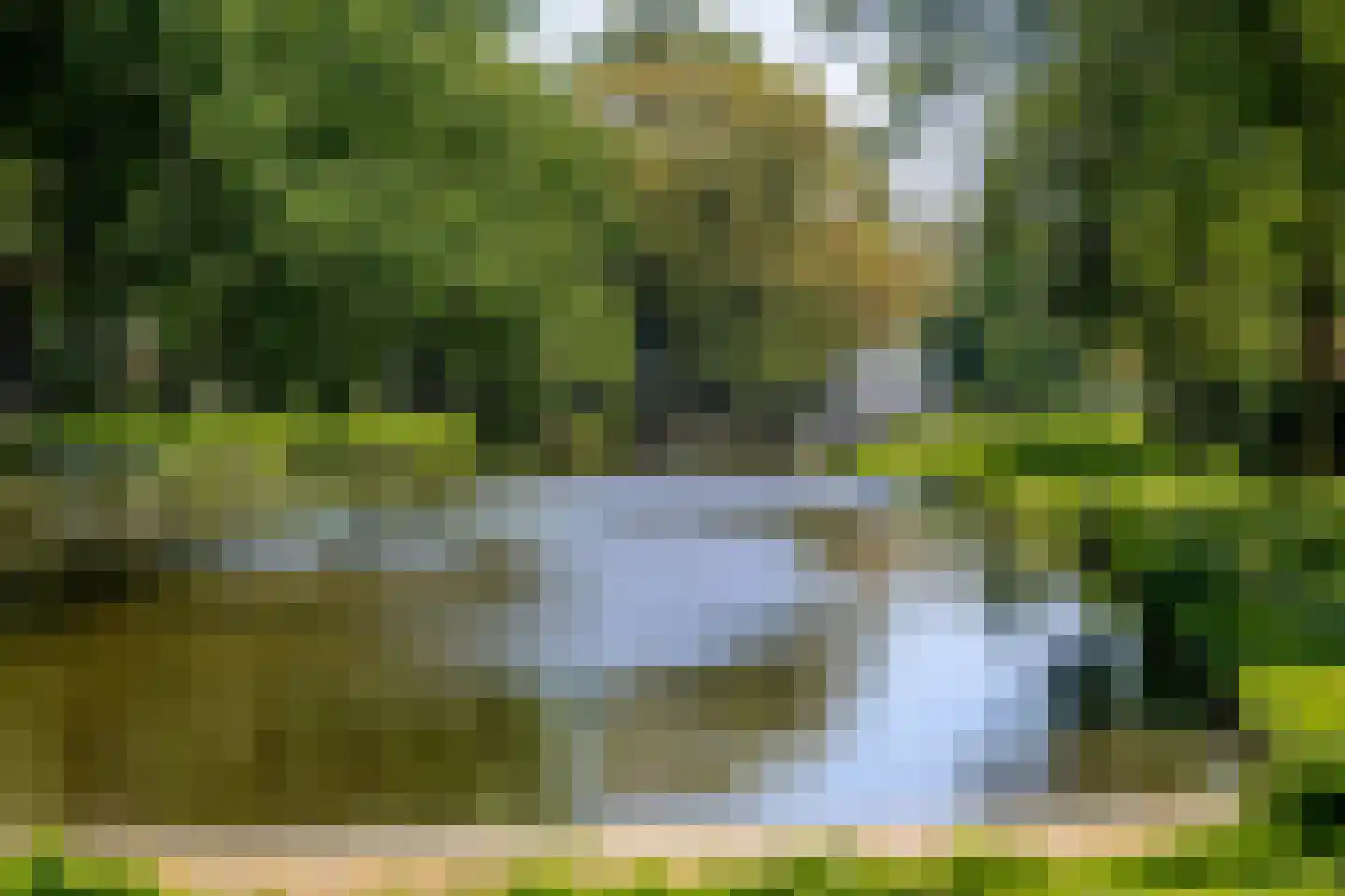 Dennekruid 46 Rotterdam thumbnail 32