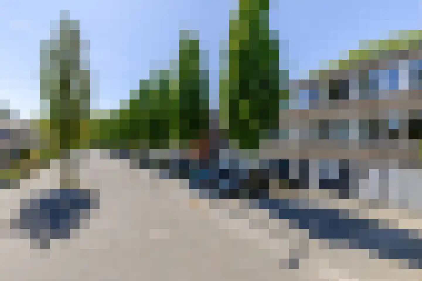 Dennekruid 46 Rotterdam thumbnail 34