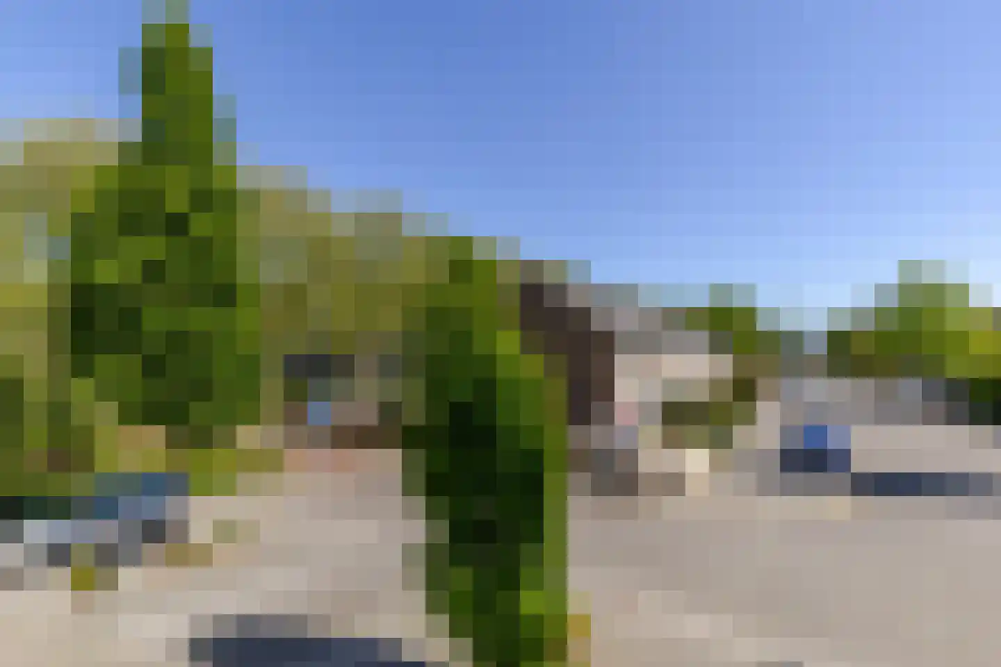 Dennekruid 46 Rotterdam thumbnail 35