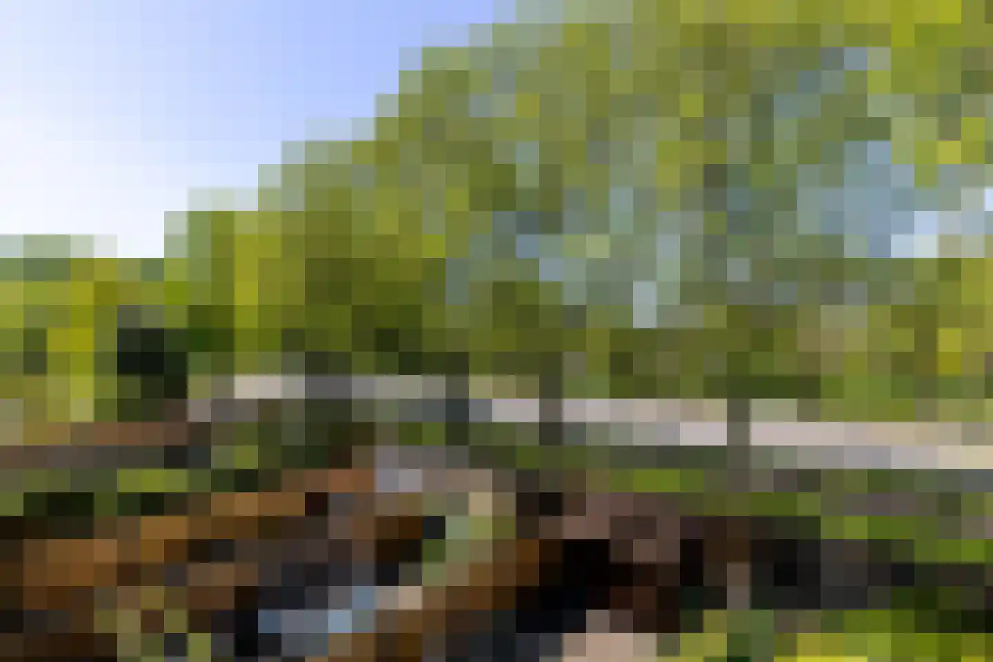 Dennekruid 46 Rotterdam thumbnail 39