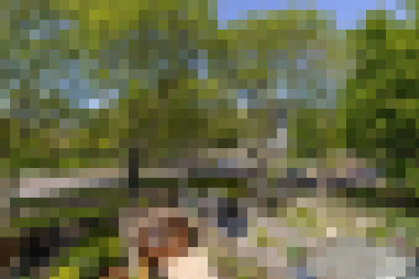 Dennekruid 46 Rotterdam thumbnail 40