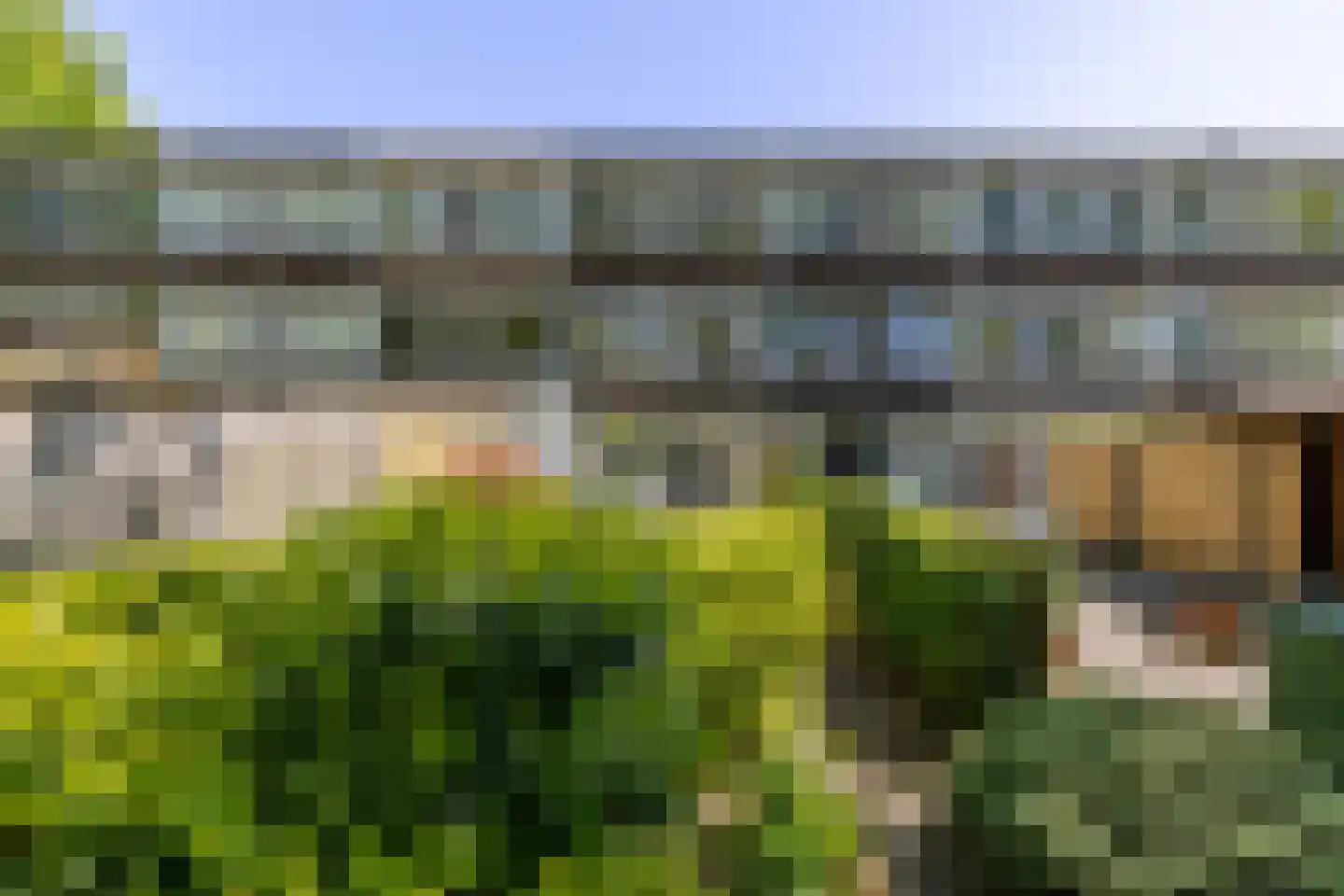 Dennekruid 46 Rotterdam thumbnail 9