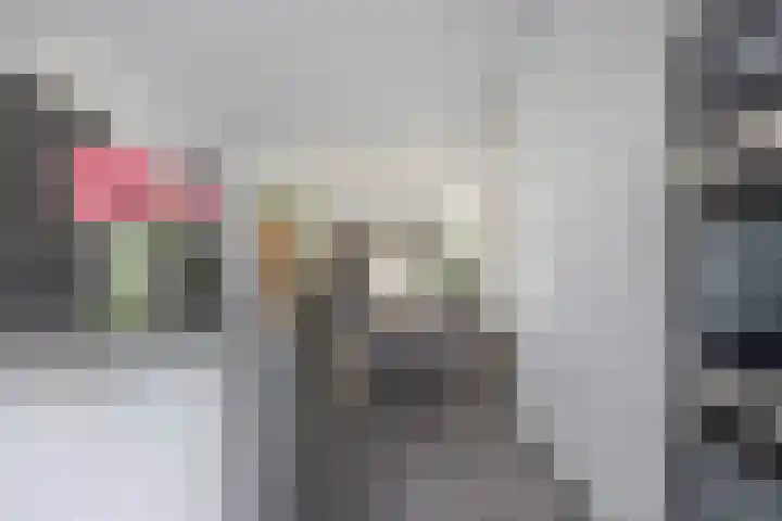 Dennekruid 70 Rotterdam thumbnail 10