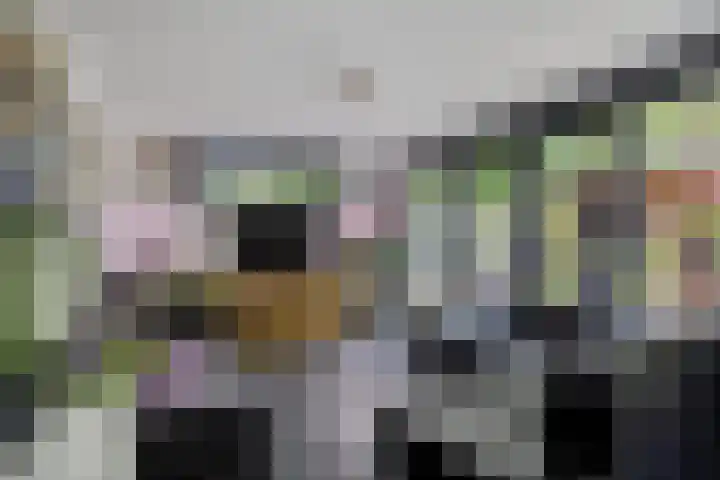 Dennekruid 70 Rotterdam thumbnail 14