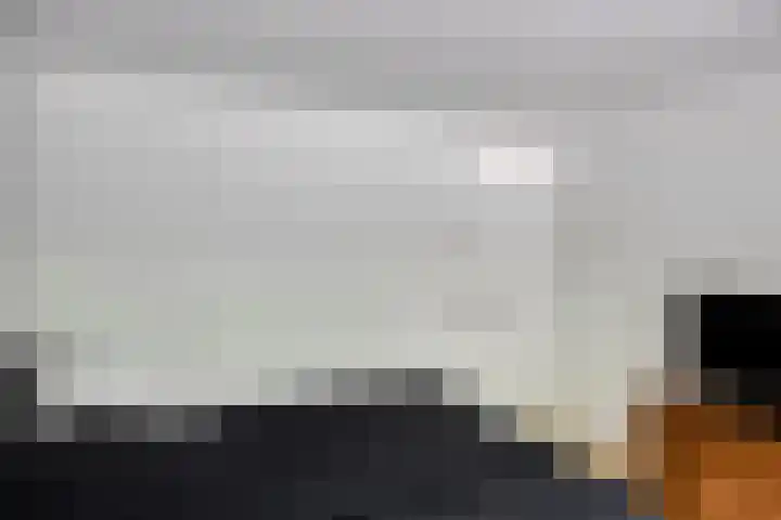 Dennekruid 70 Rotterdam thumbnail 22