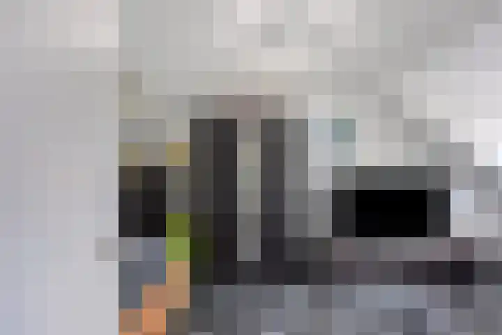 Dennekruid 70 Rotterdam thumbnail 31
