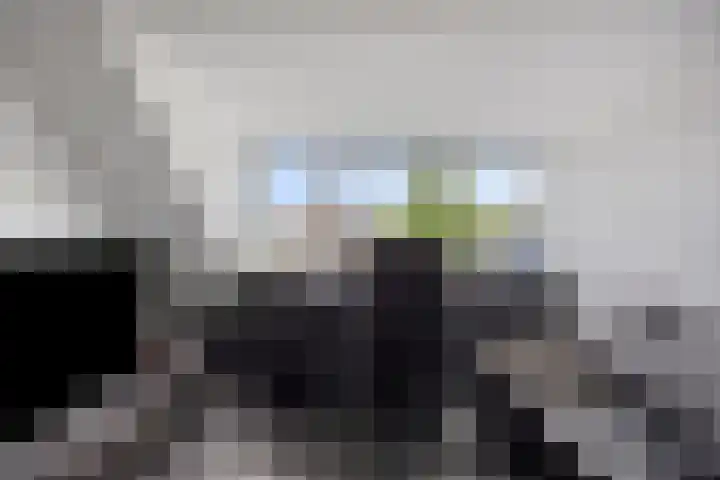 Dennekruid 70 Rotterdam thumbnail 32