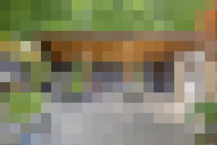 Dennekruid 70 Rotterdam thumbnail 38