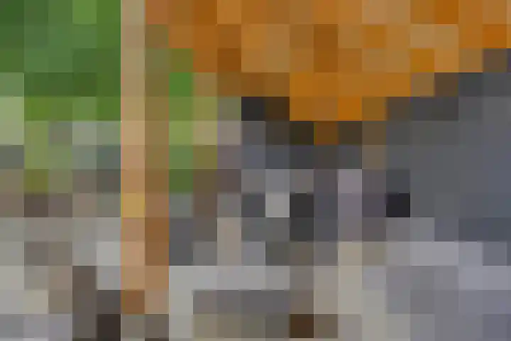 Dennekruid 70 Rotterdam thumbnail 39