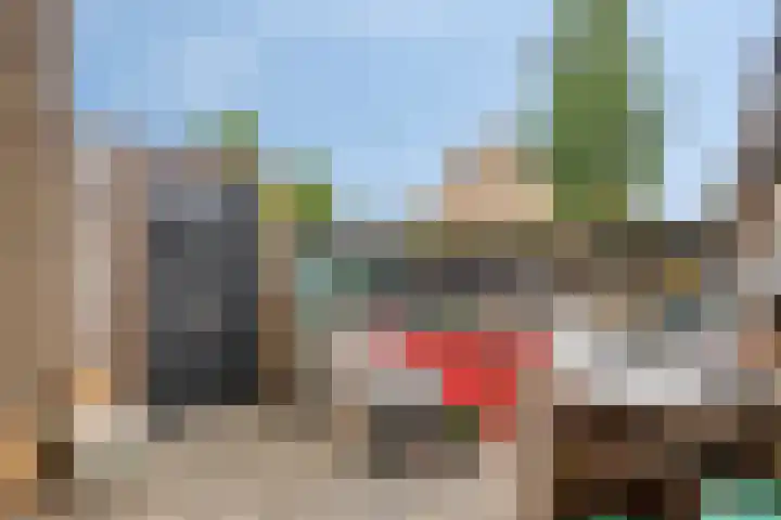 Dennekruid 70 Rotterdam thumbnail 40